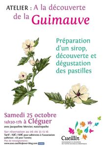 Atelier A la découverte de la guimauve