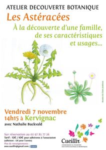 Sortie botanique à la découverte des Astéracées
