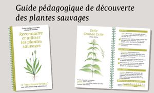 Un livret pédagogique sur les plantes sauvages