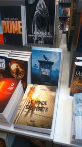 Mes livres chez Cultura Metz