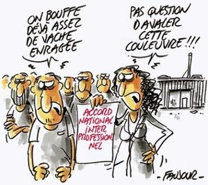 Paris, Sénat : rassemblement unitaire contre l'ANI