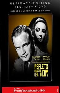 Sorties dvd gay octobre et novembre 2014