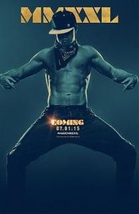 Sorties dvd gay novembre 2015