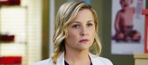 Grey's Anatomy (saison 13)