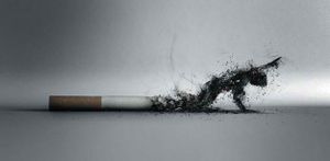 Des images chocs pour une vie plus saine... SANS TABAC !