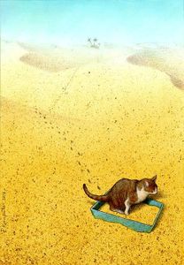 Cat sandbox