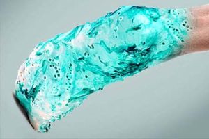 Des chaussures "vivantes" imprimées en 3D capables de se régénérer seules