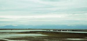 De Kaikoura au Ferry