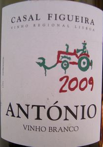 Dégustation vins du Portugal