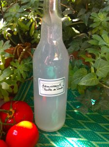 L'adoucissant, assouplissant parfumé feuille de tomate: écologique, économique et rapide nouvelle version