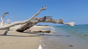Plage de Solaro