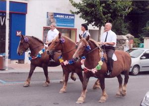 Pas de fête du cheval cette année à Loudéac