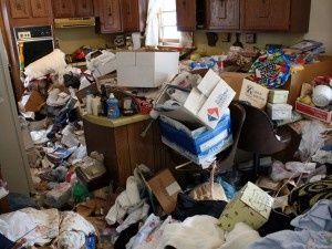 Les "accumulateurs" (hoarding) : 1,5% de la population