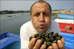 Alain Jourdren ou le portrait atypique d'un homme de la mer