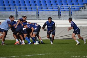 La Champions Cup et le Leinster pour reconstruire