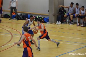Le Final Four de basket à Tulle