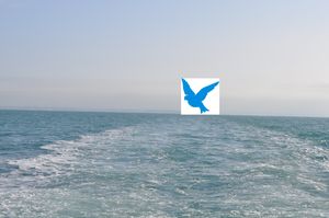 Que faire en Août à Colombes ?