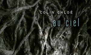 C'est la Journée du soleil levons donc la tête "Au Ciel" car 'la terre nous attend' voici le nouvel album de Colin Chloé un breton qui ne cache pas son désarroi sur les suites de notre joli petit monde un type a part dans le paysage français brut de décoffrage un rock sans concession qui brille n'en déplaise au soleil !