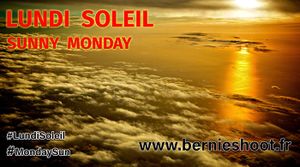 Lundi Soleil, mois du vert!