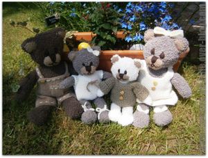 Les bébés ours sont arrivés !