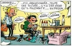 Des gaffes et des chats