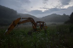 Ecology Letters - Ecological Effects of Environmental Change