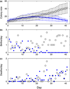 Chronic sublethal stress causes bee colony failure