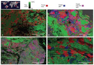 High-Resolution Global Maps of 21st-Century Forest Cover Change