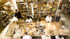 L’Herbier du Muséum National d’Histoire Naturelle