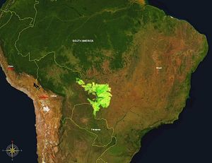O pantanal