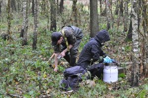 La fonction publique québécoise : le métier de biologiste