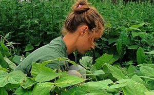Intermède : Anaïs s’en-va-t-en guerre