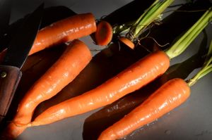 Pesticides : Le Foll présente un plan vert pâle face aux lobbys