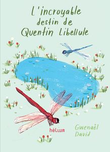L'incroyable destin de Quentin libellule (Gwenaël David)