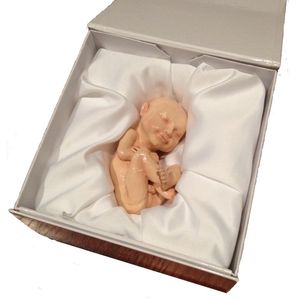 Offrez-vous une impression en 3D du fœtus de votre enfant