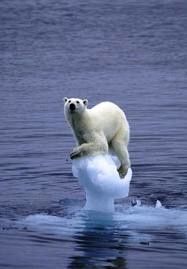 La fin programmée du Glacier du Pin en Antarctique