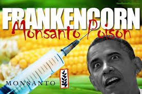 La diabolisation des OGM …. entre autres