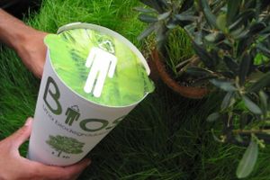 Voudriez vous vous ré-incarner en un arbre ?