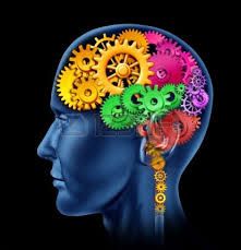 Oui il est possible de devenir plus intelligent