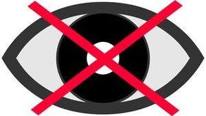 A cause de la Loi "Renseignement" Altern.org quitte la France
