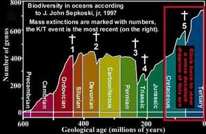La Terre a déjà connu six extinctions massives d'espèces