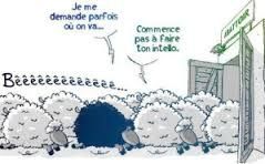 La prise de pouvoir du climato-bourrage-de-crâne des media français