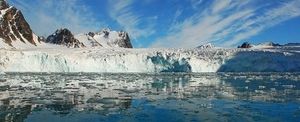 Une forêt tropicale fossilisée découverte dans l'Arctique
