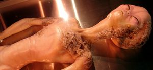 Si les extraterrestres sont silencieux, c’est parce qu’ils sont tous morts