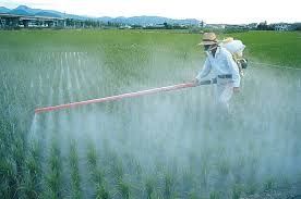 Méchants, méchants pesticides : la ridicule croisade du Monde