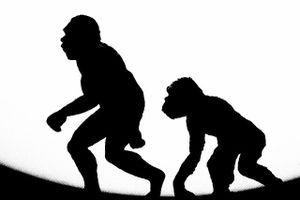Science : l’obscurantisme qui vient