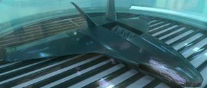 Un monde de drones qui « poussent » dans des bassines informatisées