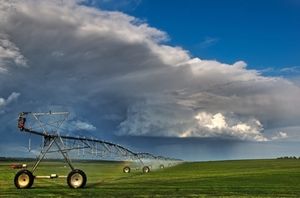Industrie chimique, sociétés de biotechnologies et géants du trading contrôlent la chaîne alimentaire mondiale