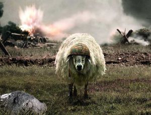 Censure des médias : Le Blog des moutons enragés mis en demeure par l’AFP , risque la fermeture !