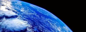 Un biologiste de Stanford prévient que nous vivons les premiers stades, de la sixième extinction de masse !